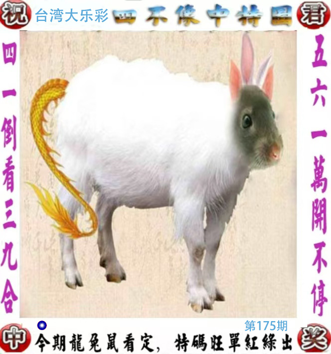 First Image