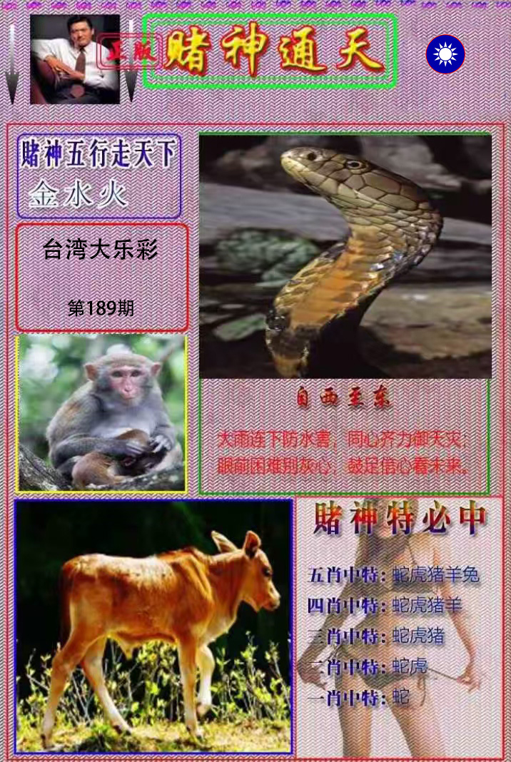 First Image