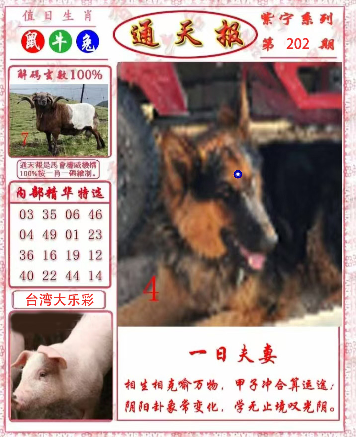 First Image