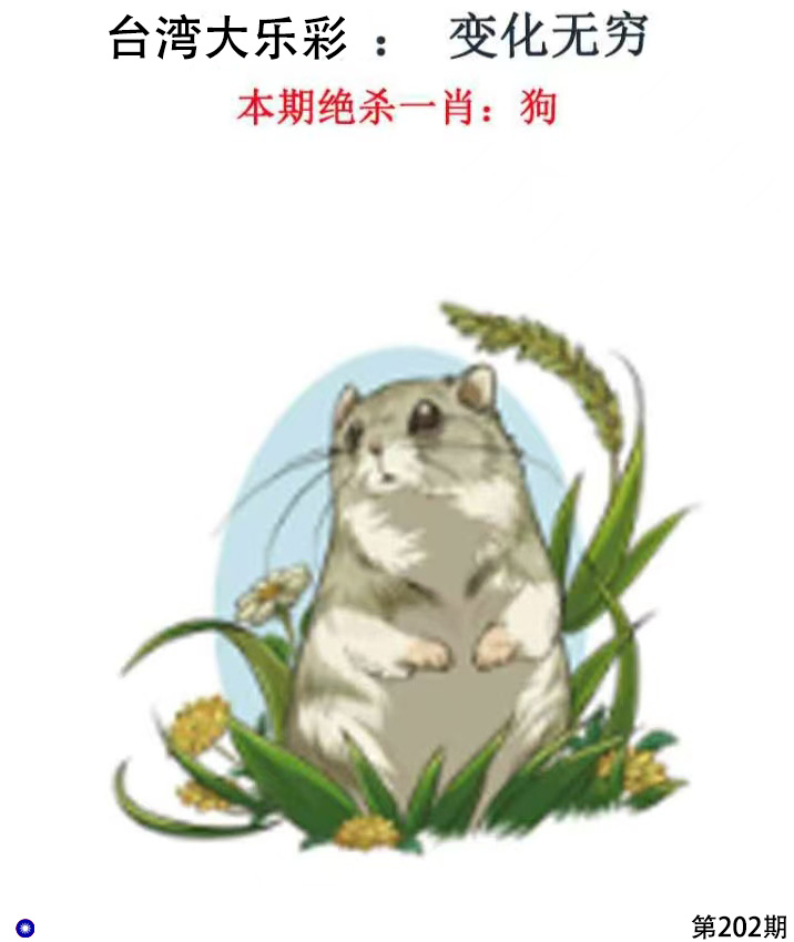 First Image