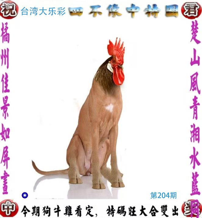 First Image