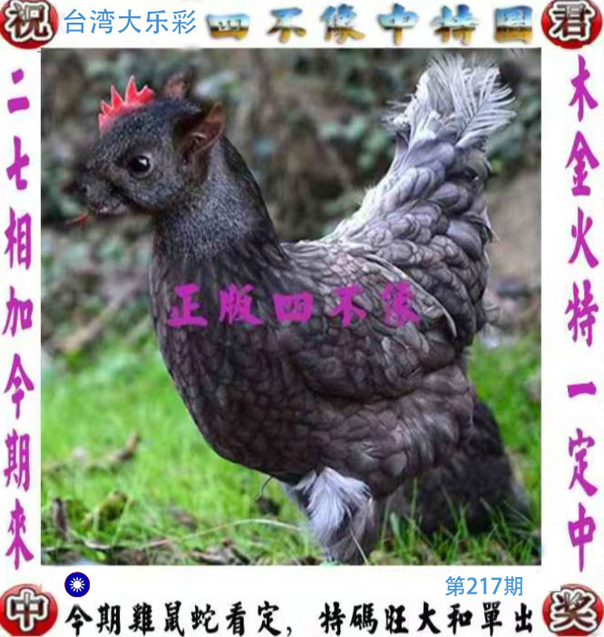 First Image