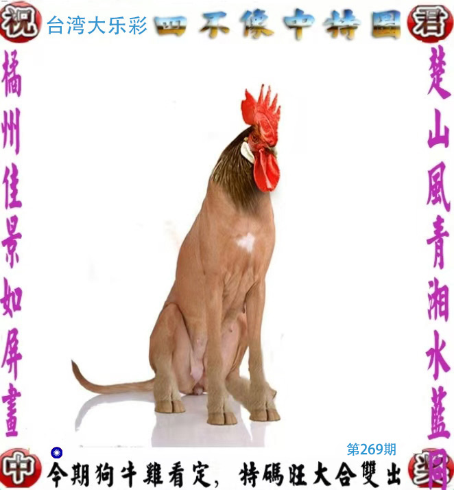 First Image
